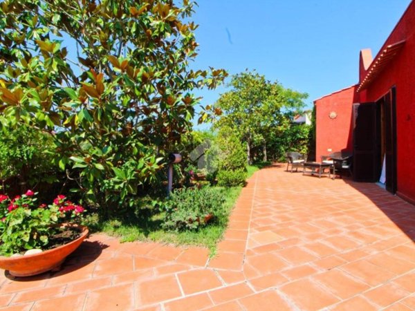 casa indipendente in vendita a Centola in zona Palinuro