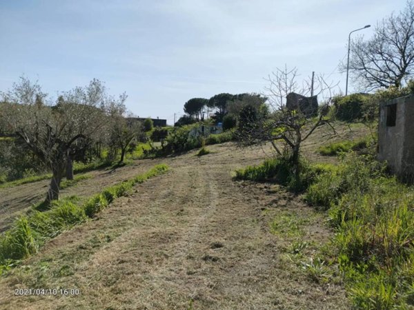 casa indipendente in vendita a Centola in zona Forìa