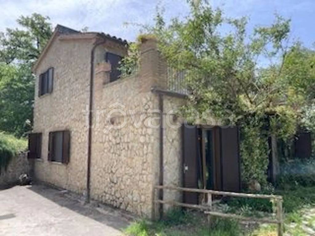 casa indipendente in vendita a Centola