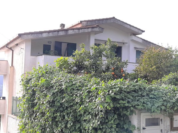 casa indipendente in vendita a Centola in zona Forìa