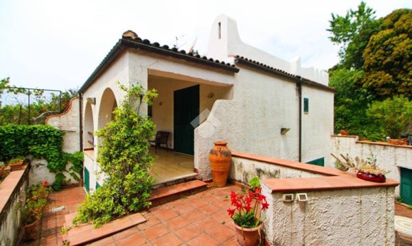 casa indipendente in vendita a Centola in zona Palinuro