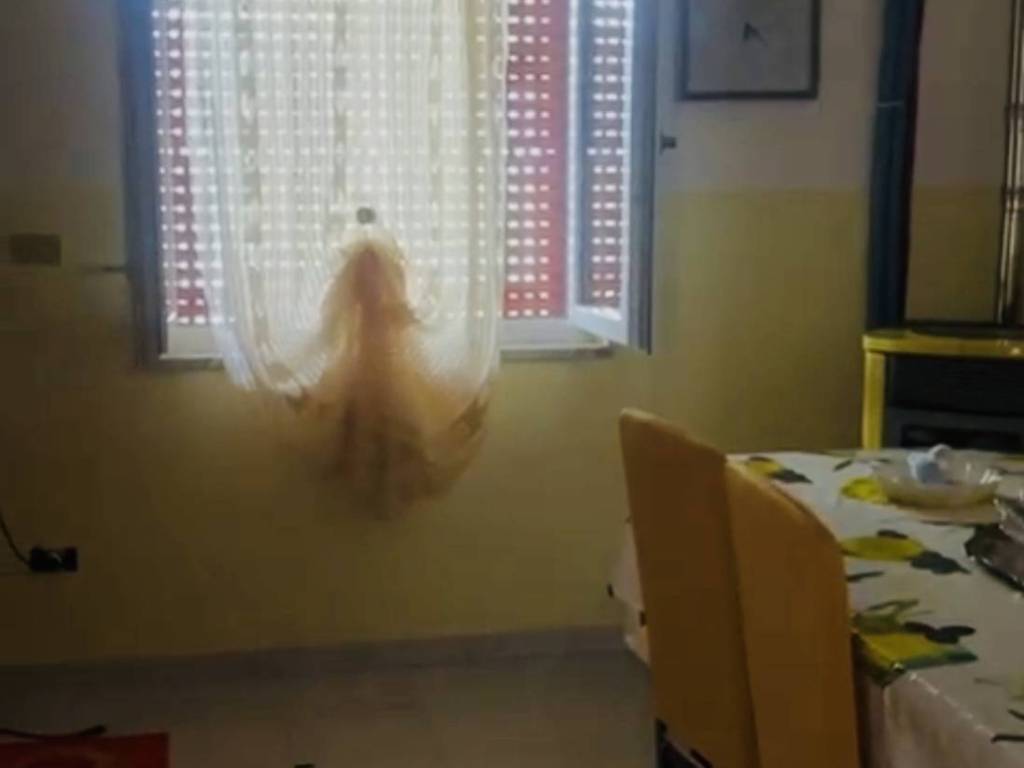 appartamento in vendita a Centola in zona Palinuro