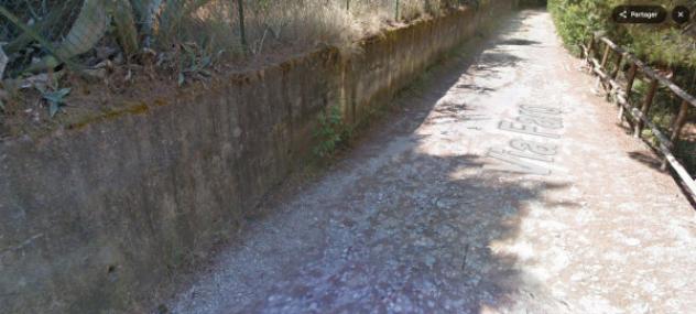 terreno agricolo in vendita a Centola