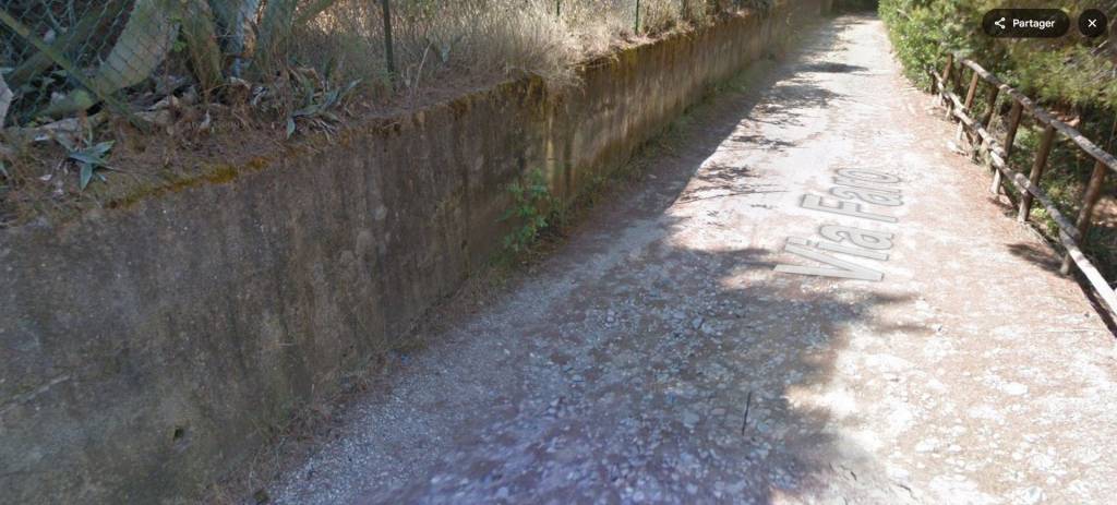 terreno agricolo in vendita a Centola