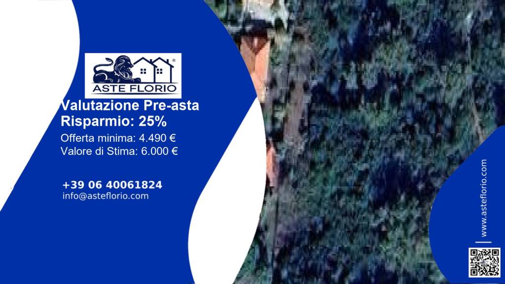 terreno agricolo in vendita a Centola