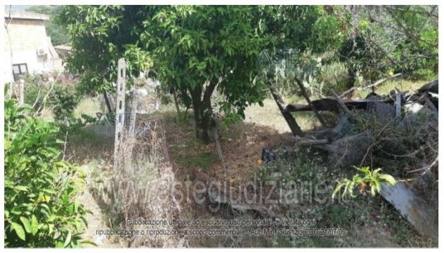 terreno agricolo in vendita a Centola