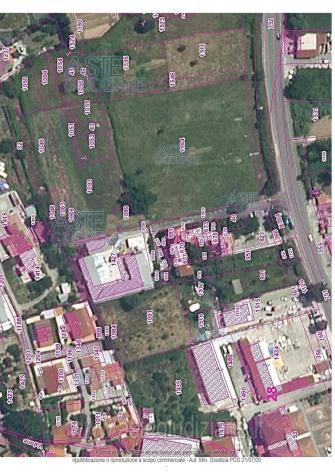 terreno agricolo in vendita a Centola