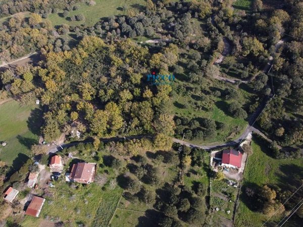 terreno agricolo in vendita a Centola in zona Palinuro