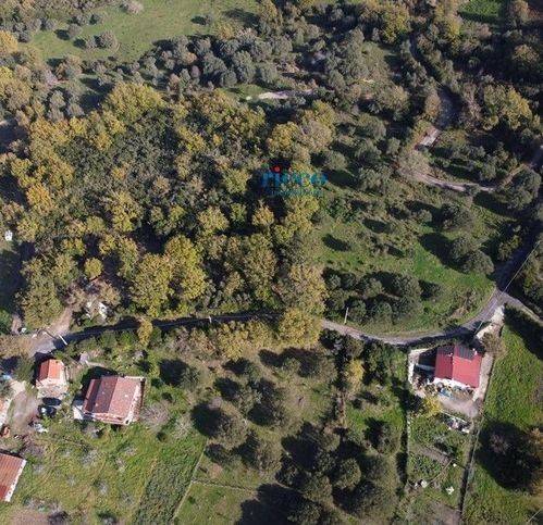terreno agricolo in vendita a Centola in zona Palinuro