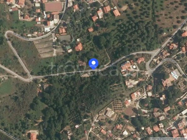 terreno agricolo in vendita a Centola