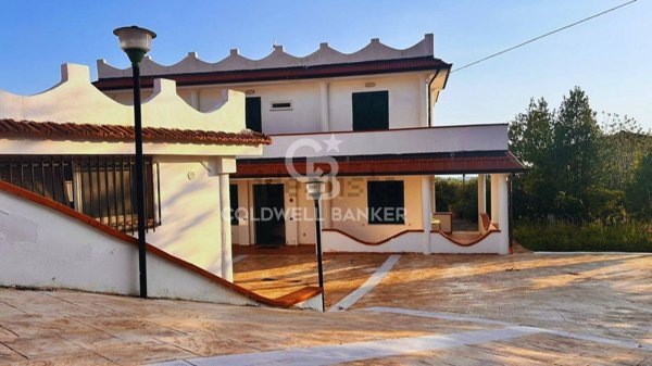 esavano in vendita a Centola in zona Palinuro