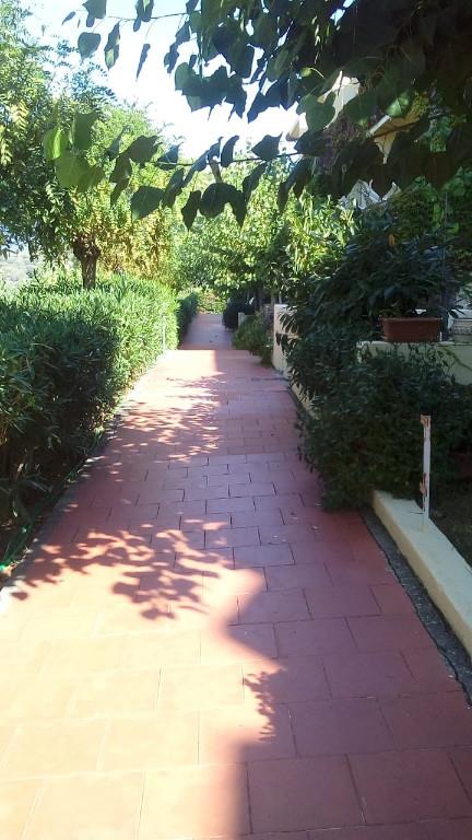 appartamento in vendita a Centola in zona Palinuro