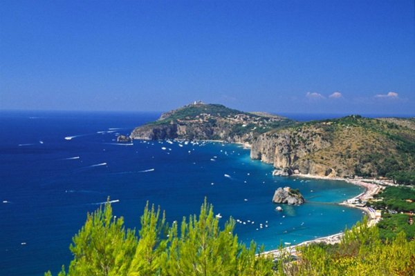 negozio in vendita a Centola in zona Palinuro