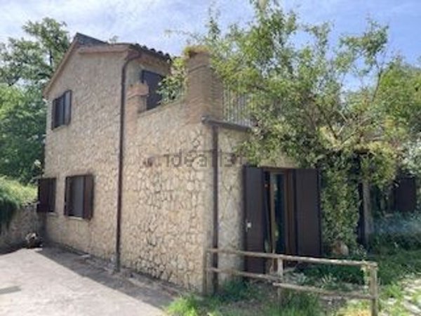 esavano in vendita a Centola