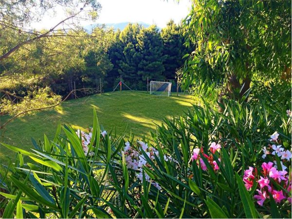 terreno agricolo in vendita a Centola
