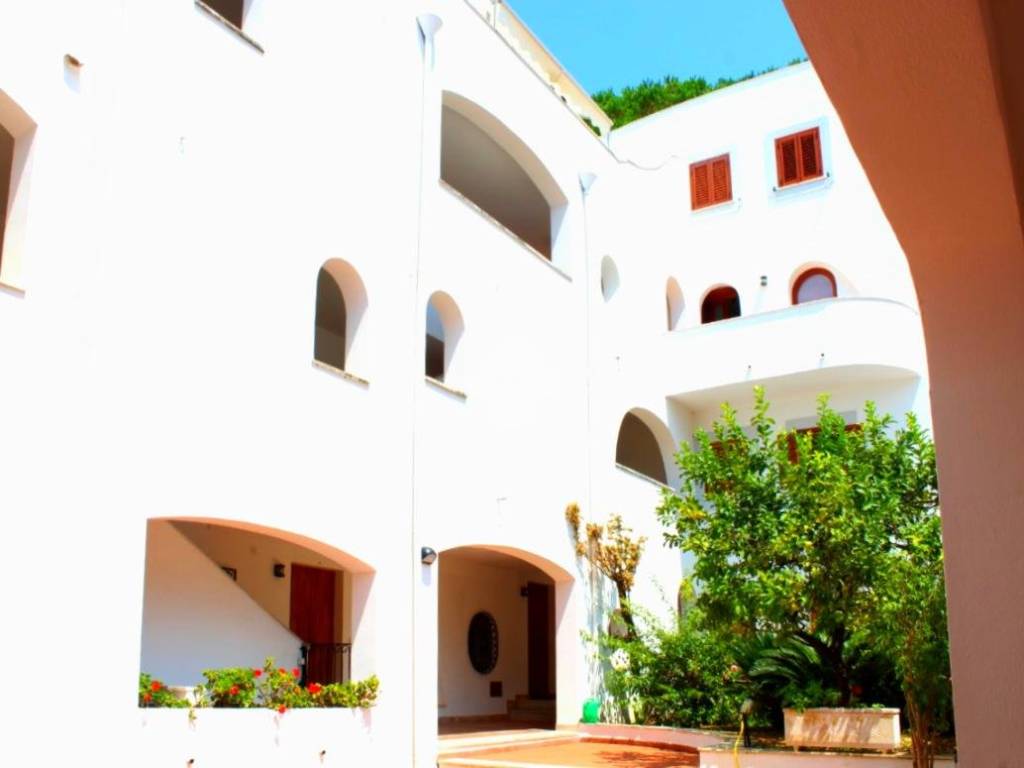 appartamento in vendita a Centola in zona Palinuro