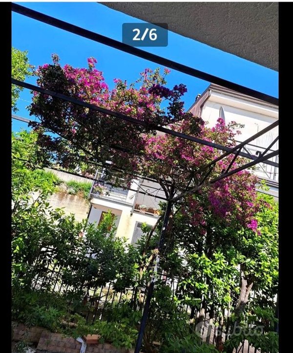 casa indipendente in vendita a Centola in zona Palinuro