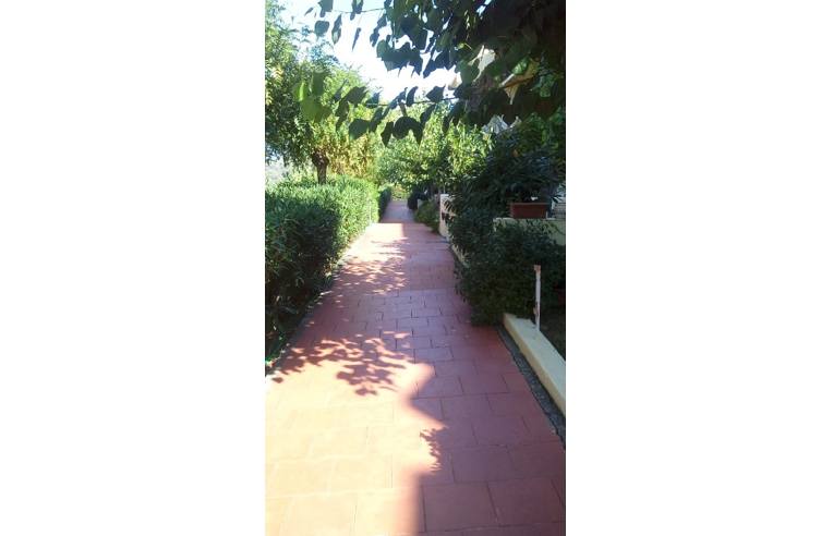 appartamento in vendita a Centola in zona Palinuro