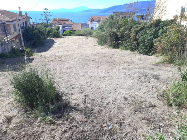 terreno agricolo in vendita a Centola in zona Palinuro