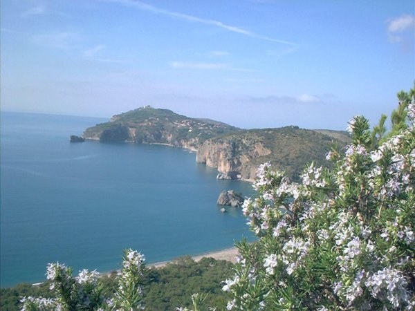 appartamento in vendita a Centola in zona Palinuro