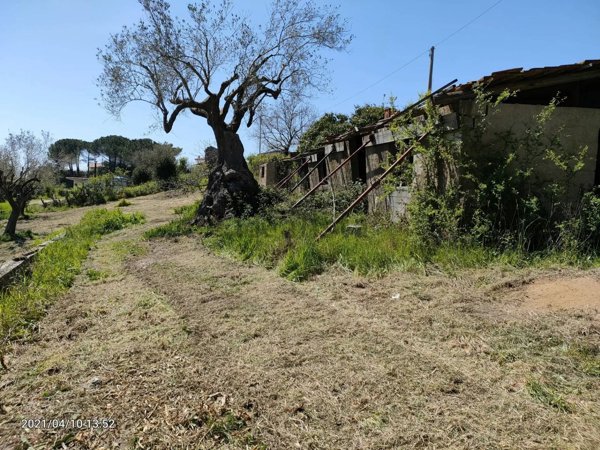 appartamento in vendita a Centola in zona Forìa
