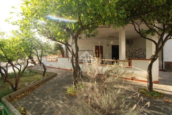 casa indipendente in vendita a Centola in zona Palinuro