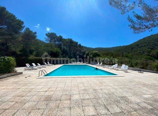 casa indipendente in vendita a Centola