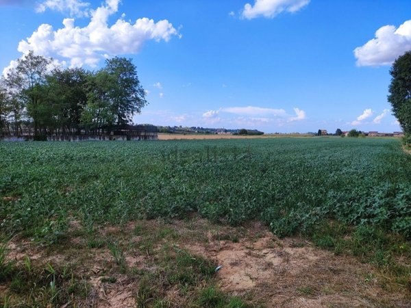 terreno edificabile in vendita a Cervere