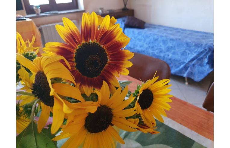 casa indipendente in vendita a Cervere