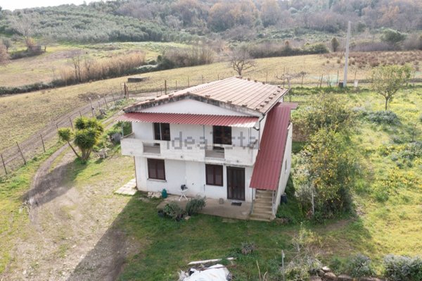 esavano in vendita a Ceraso