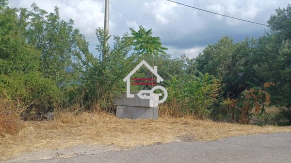 terreno agricolo in vendita a Cicerale