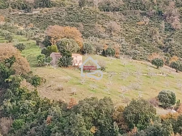 terreno agricolo in vendita a Cicerale