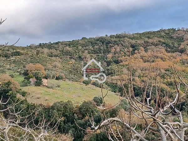 casa indipendente in vendita a Cicerale