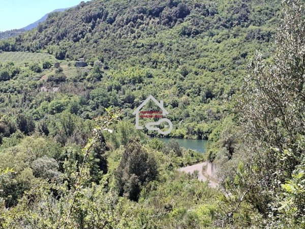 terreno agricolo in vendita a Cicerale