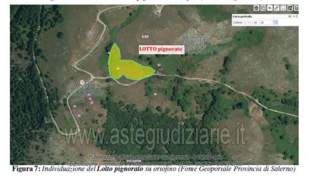terreno agricolo in vendita a Colliano