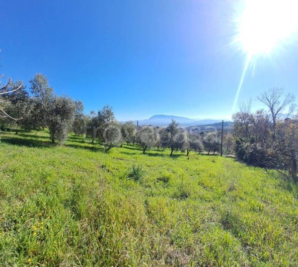 terreno agricolo in vendita ad Eboli