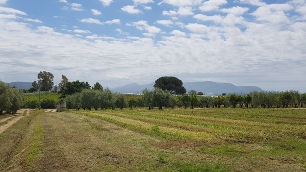 terreno agricolo in vendita ad Eboli