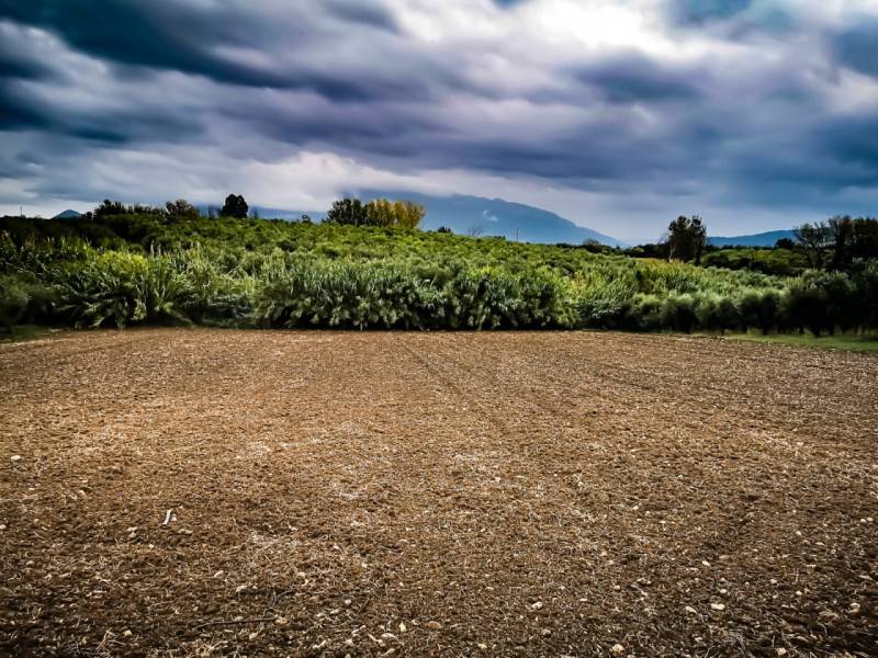 terreno agricolo in vendita ad Eboli