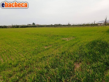 terreno agricolo in vendita ad Eboli