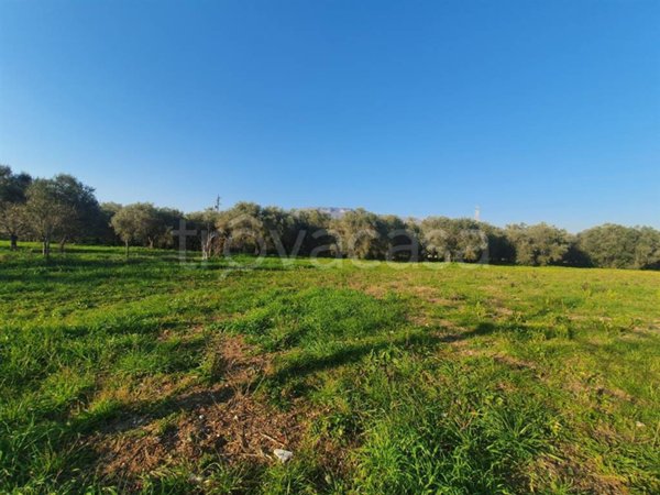 terreno agricolo in vendita ad Eboli in zona Sant'Andrea