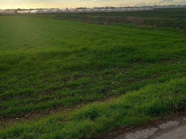 terreno agricolo in vendita ad Eboli