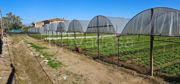 terreno agricolo in vendita ad Eboli in zona Campolongo