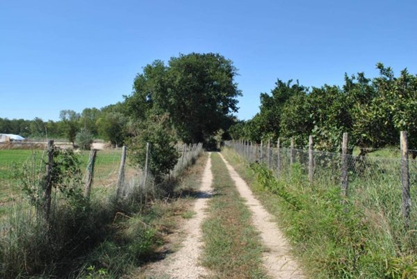 terreno agricolo in vendita ad Eboli