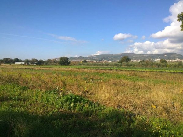 terreno agricolo in vendita ad Eboli
