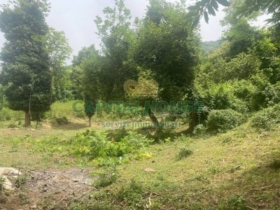 terreno agricolo in vendita ad Eboli