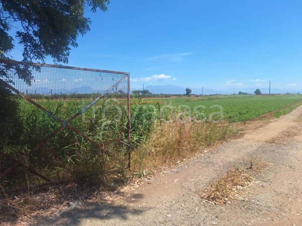 terreno agricolo in vendita ad Eboli in zona Campolongo