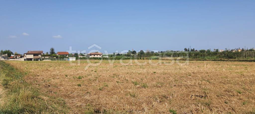 terreno agricolo in vendita ad Eboli