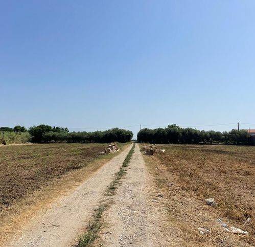 terreno agricolo in vendita ad Eboli in zona Campolongo