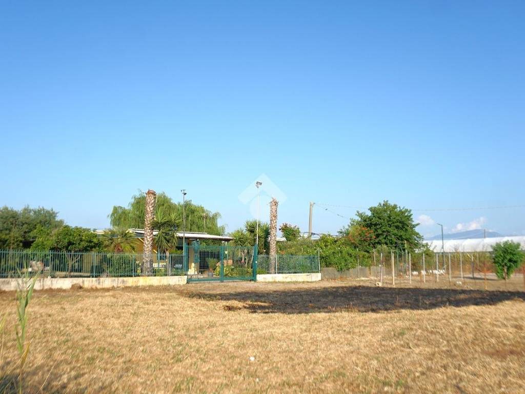 terreno agricolo in vendita ad Eboli