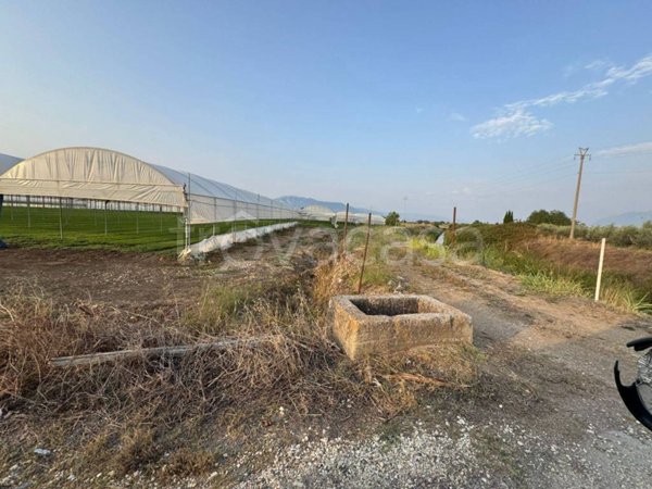 terreno agricolo in vendita ad Eboli in zona Campolongo